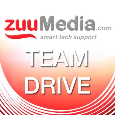 Team Drive (Business Backup and File Server) 25GB - 1 Year